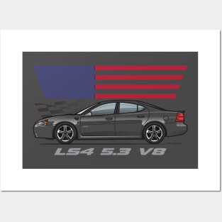 LS4 multicolor 1 Posters and Art